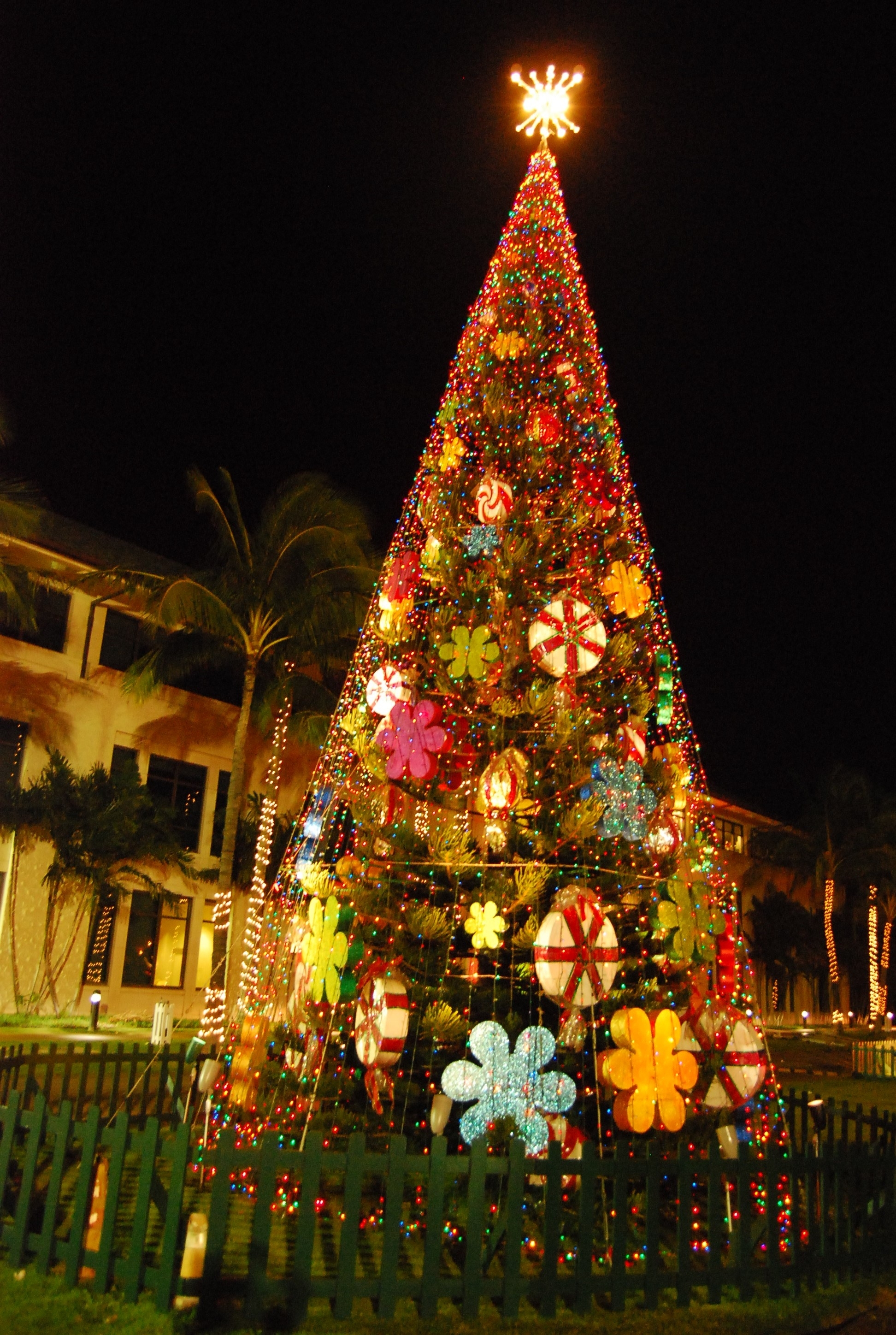 Hawaii Ahe Kapolei City Lights Holiday Celebration This Saturday