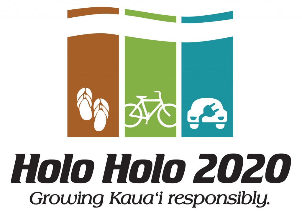 Holoholo2020-multimodal-colorblock