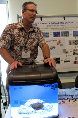 Hawai'i Pacific Chemistry Professor David Horgen, Ph.D., interim dean of the College of Computational and Natural Sciences, participates in a community science fair at the recent opening of the University of Hawai'i Cancer Center. Horgen's research at HPU deals with finding possible anticancer drugs in coral. 