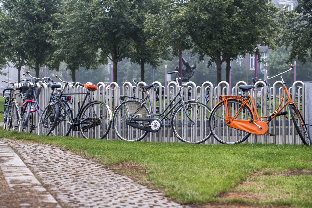 bikes in a park
