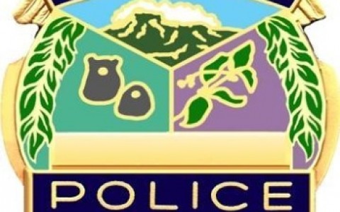 Kauai-Police-Department-badge--generic----27846257