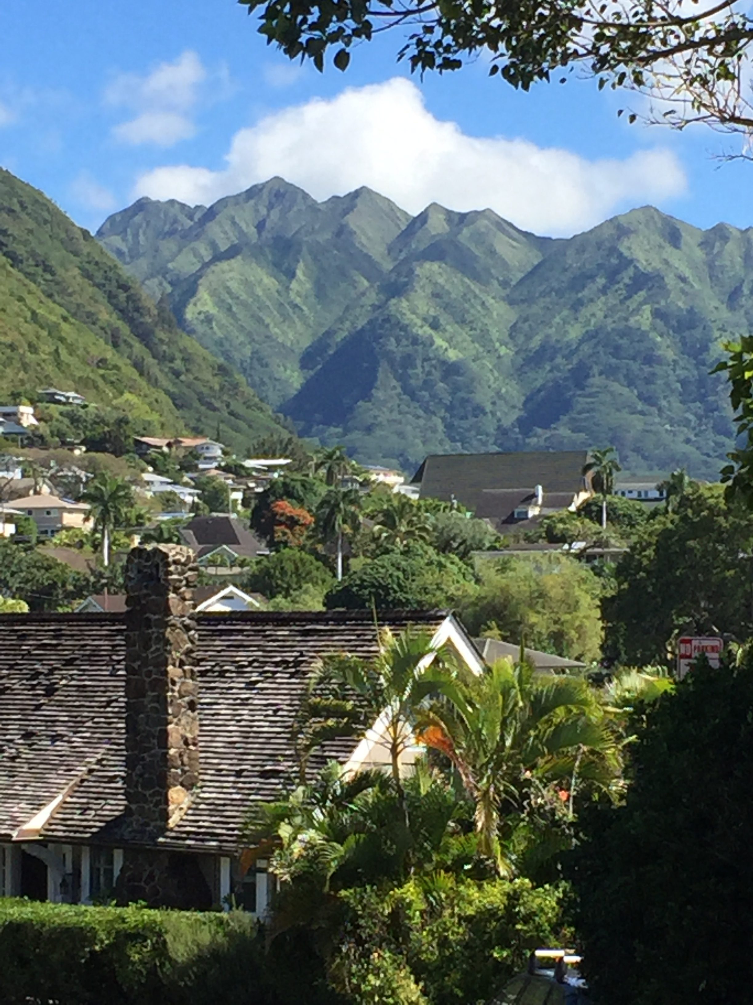 Hawaii Ahe Malama Manoa Marks 25th Anniversary With Photo Contest Open