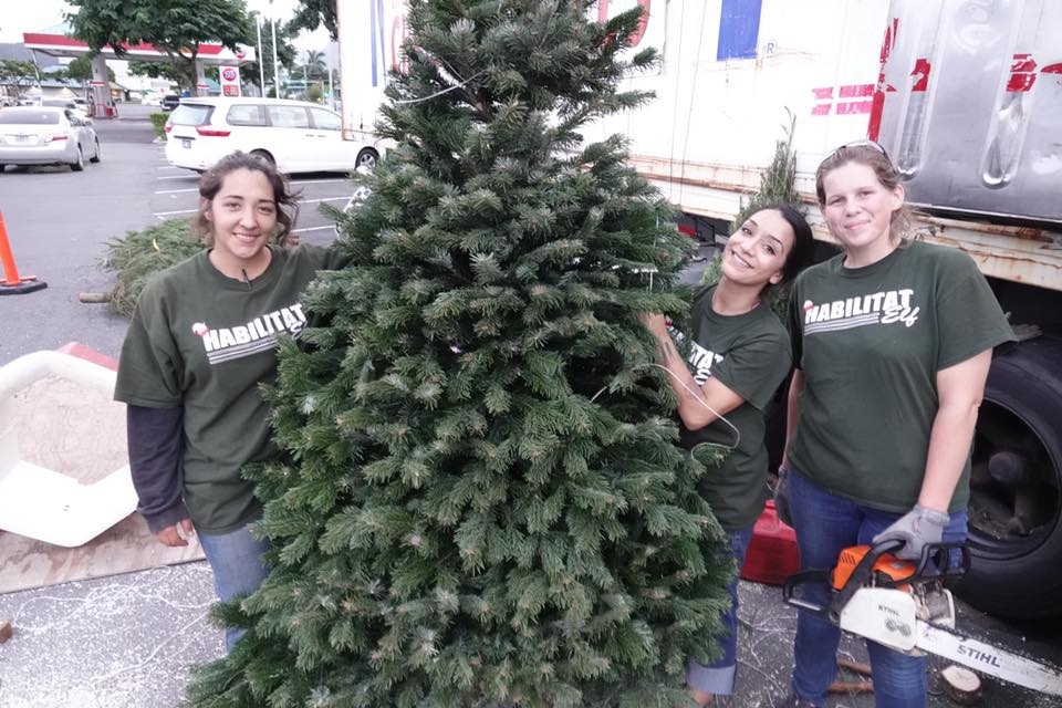 Hawaii Ahe Purchasing Habilitat’s Christmas Trees Can Light Up the